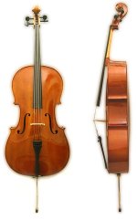 Cello, front and side view